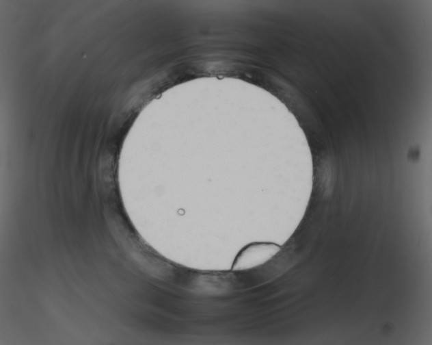 X0000115780571200912241813