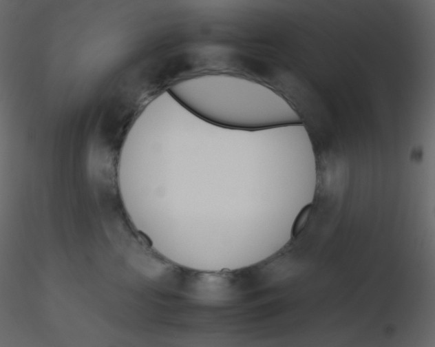 X0000115780573200912241813