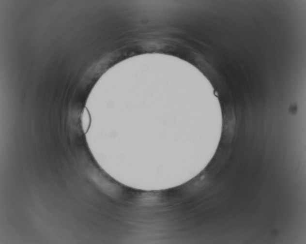 X0000115780574200912241813