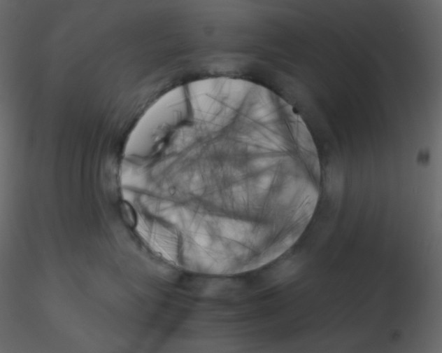 X0000115780575200912241813