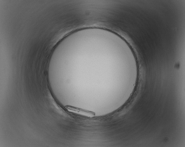 X0000115780577200912241812