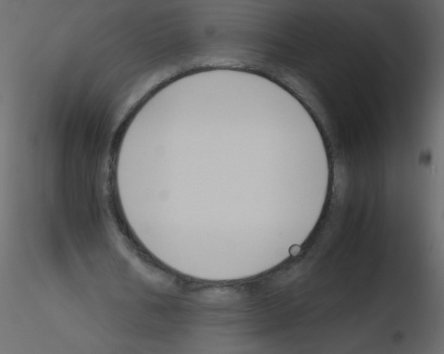 X0000115780578200912241812