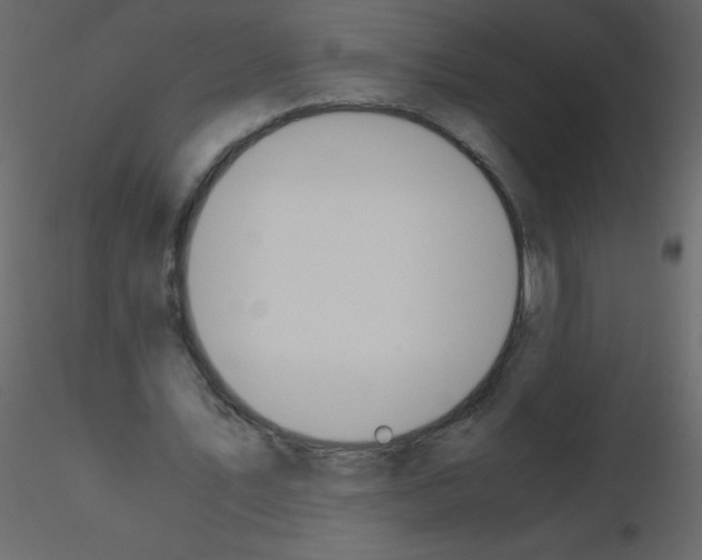 X0000115780579200912241812