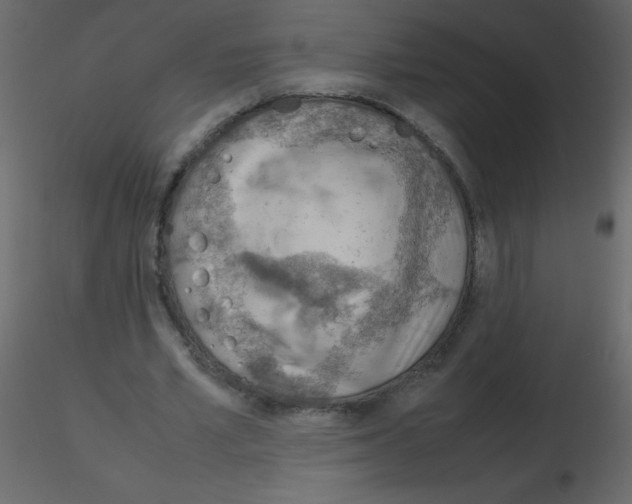 X0000115780581200912241812