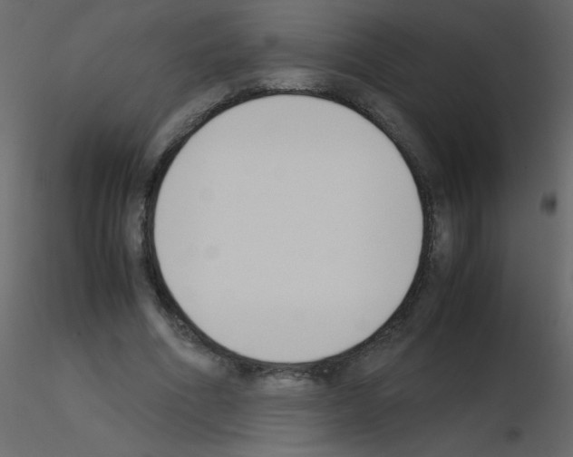 X0000115780586200912241812