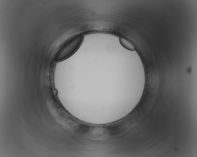 X0000115780587200912241812