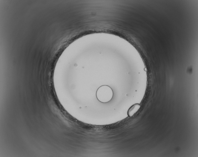 X0000115780589200912241812