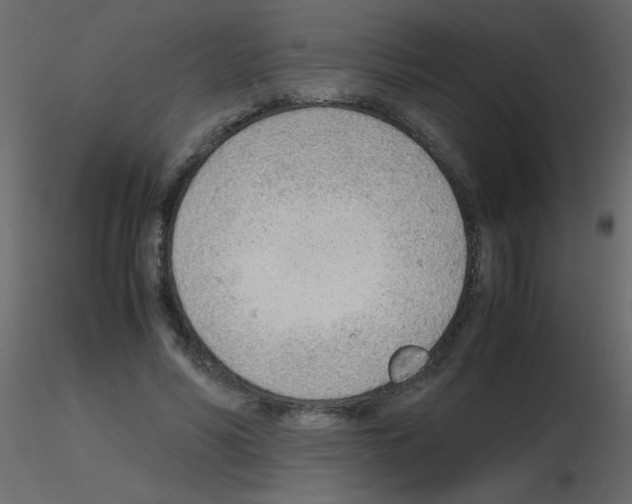 X0000115780590200912241812