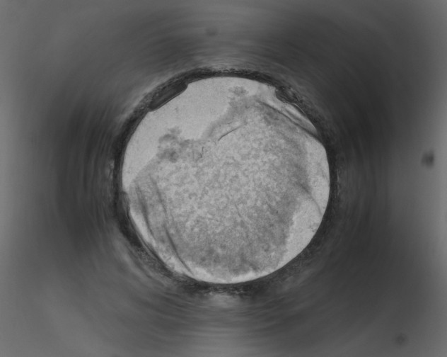 X0000115780592200912241812