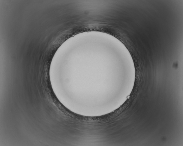 X0000115780593200912241812