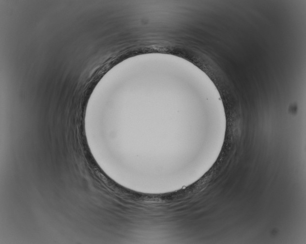 X0000115780595200912241812