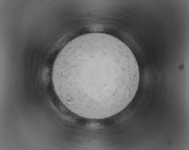 X0000115780598200912241812