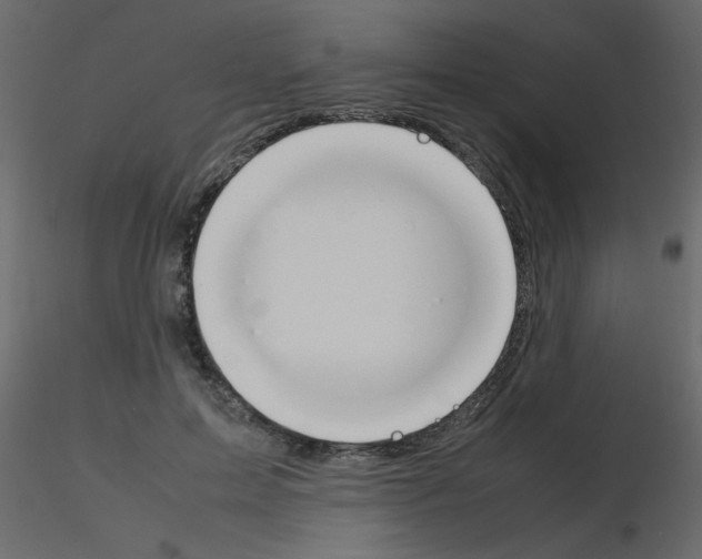 X0000115780599200912241812