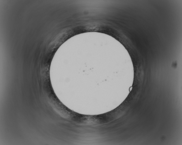 X0000115780601200912241812