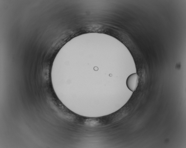 X0000115780602200912241812