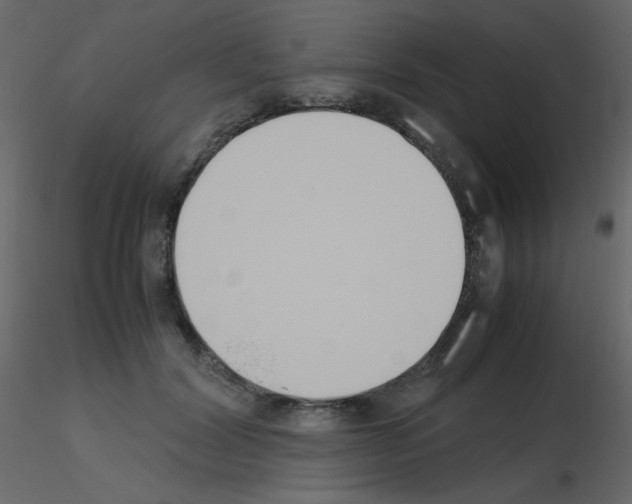 X0000115780604200912241812