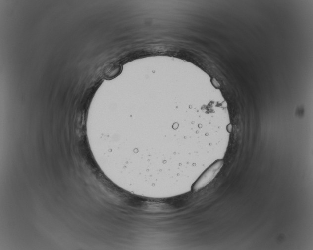 X0000115780605200912241812