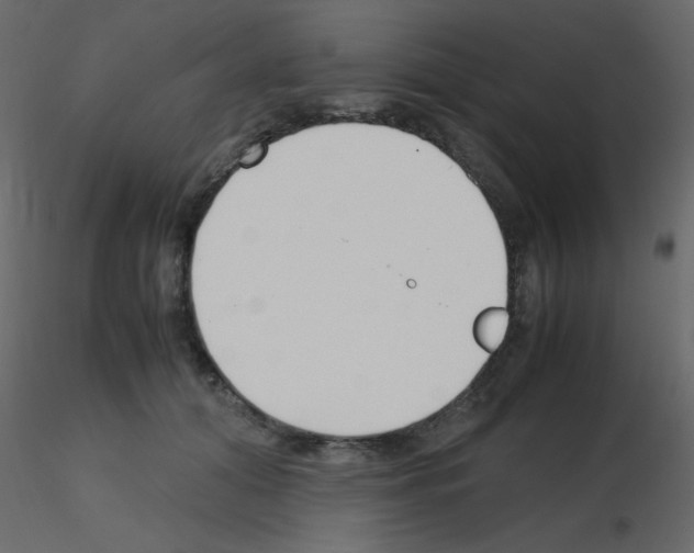 X0000115780608200912241812