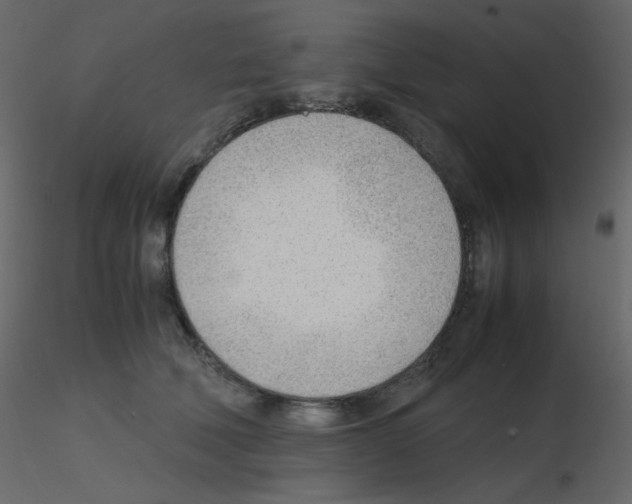 X0000115780610200912241812