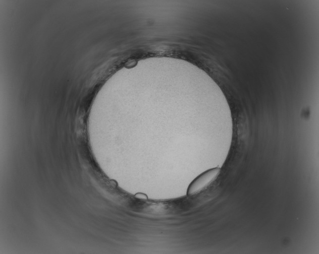 X0000115780611200912241812