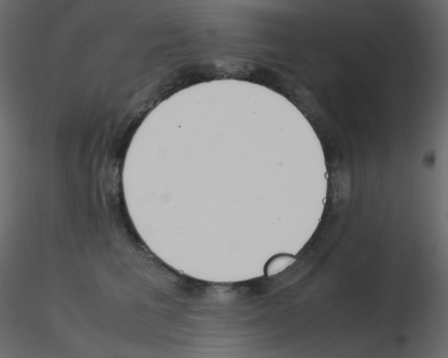 X0000115780613200912241812