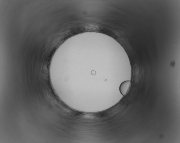 X0000115780614200912241812