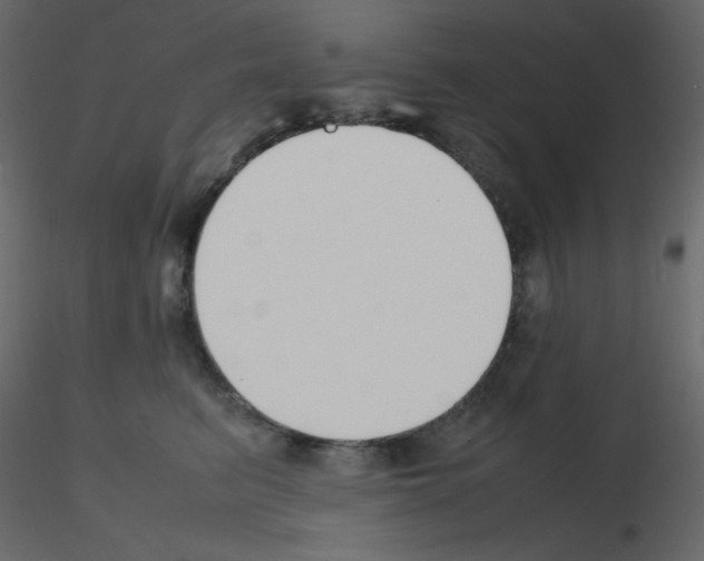 X0000115780615200912241812