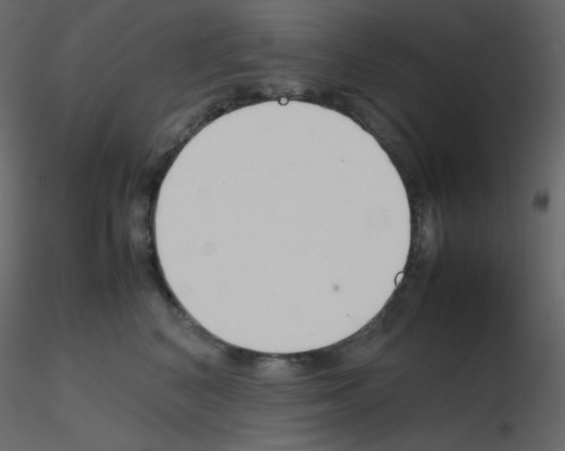 X0000115780616200912241812