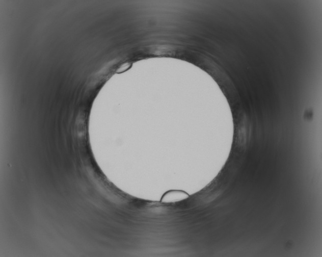 X0000115780620200912241812