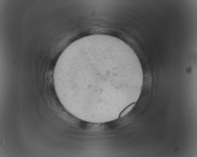 X0000115780621200912241812