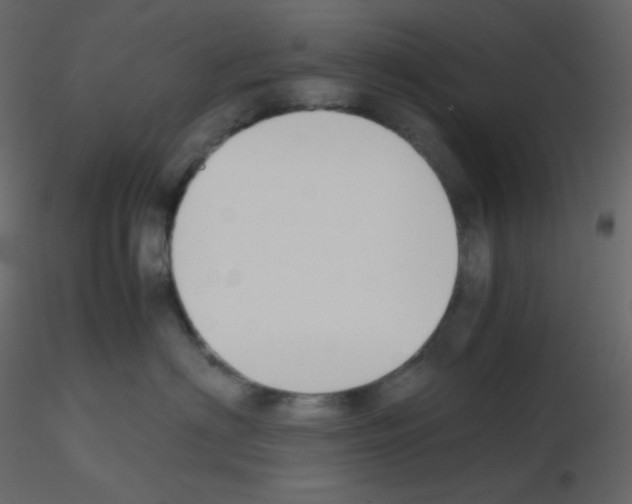 X0000115780622200912241812