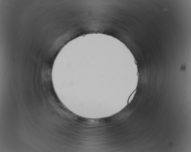 X0000115780623200912241812