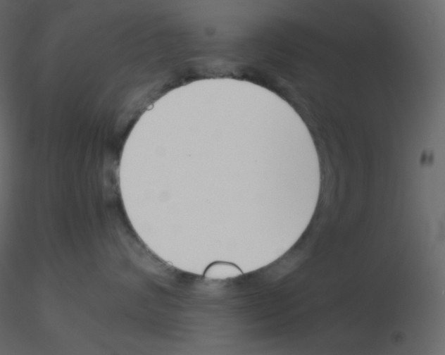 X0000115780624200912241812