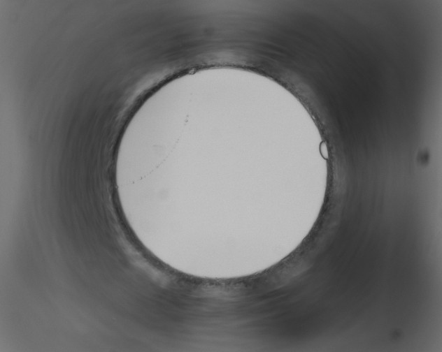 X0000115780625200912241811