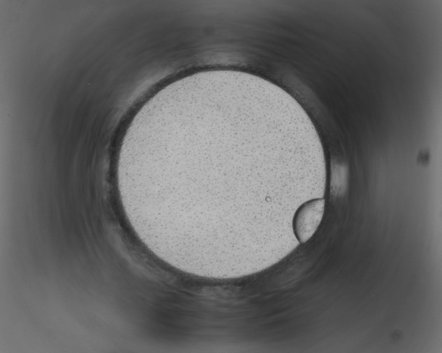 X0000115780627200912241811