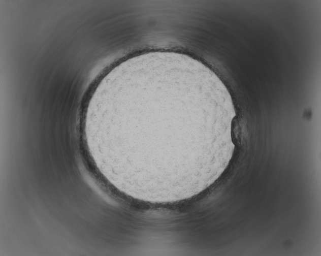 X0000115780630200912241811