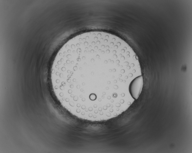 X0000115780631200912241811