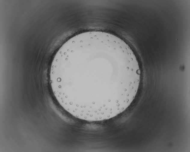 X0000115780633200912241811