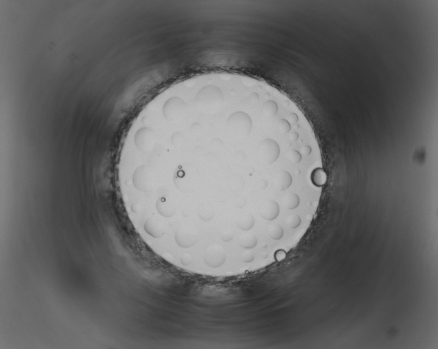 X0000115780635200912241811