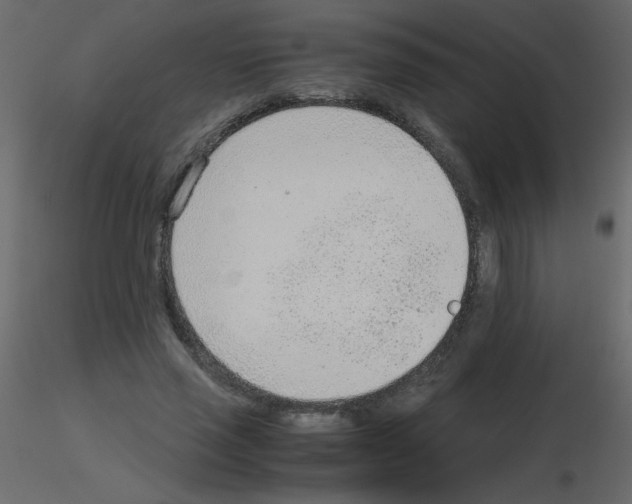 X0000115780637200912241811