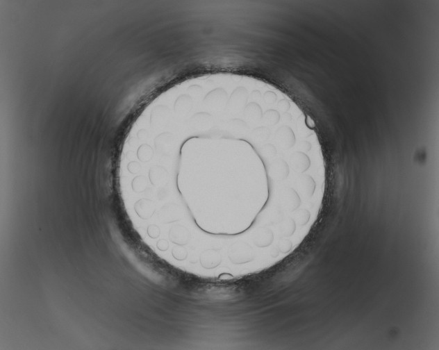 X0000115780638200912241811