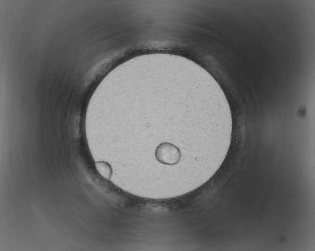 X0000115780640200912241811