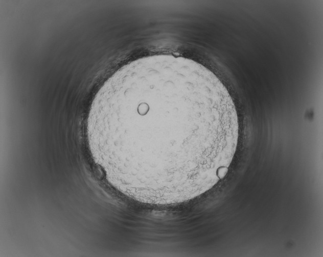 X0000115780641200912241811