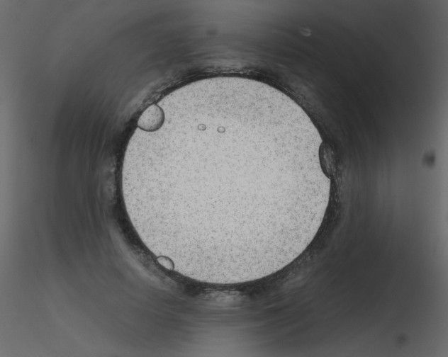 X0000115780642200912241811