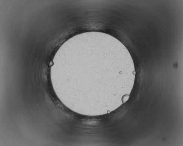 X0000115780643200912241811