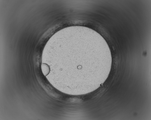 X0000115780644200912241811