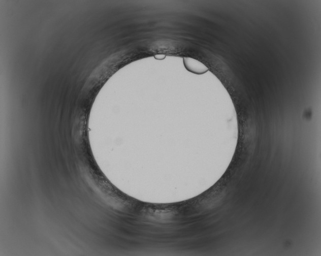 X0000115780645200912241811