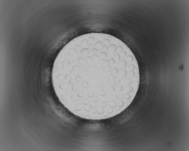 X0000115780646200912241811