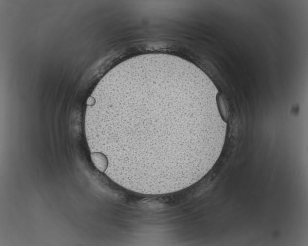 X0000115780648200912241811