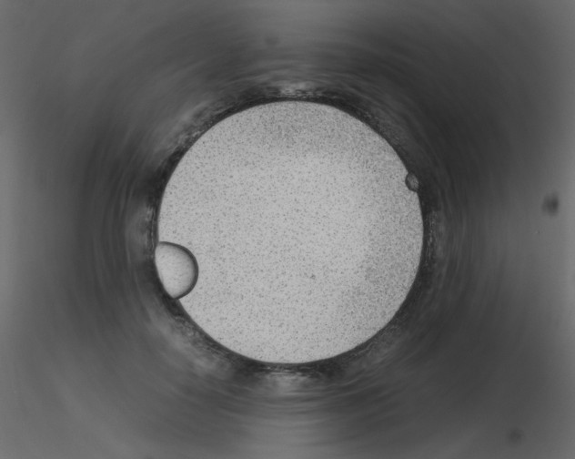 X0000115780650200912241811